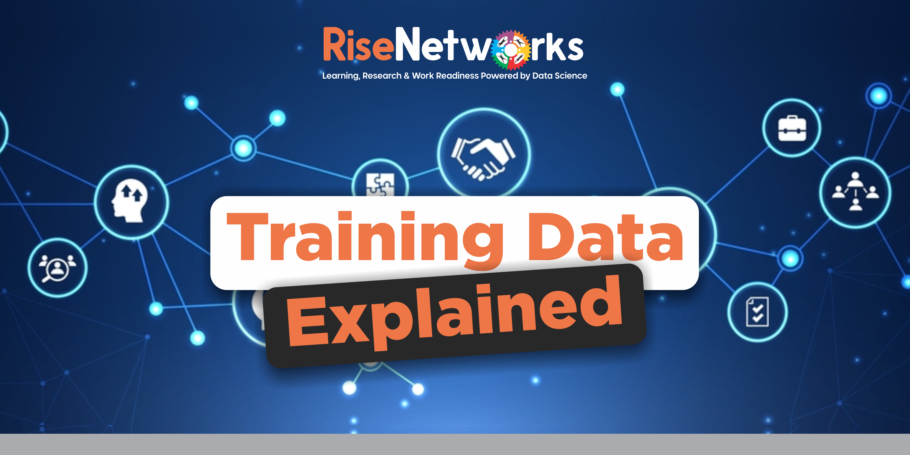 training-data-explained-rise-networks