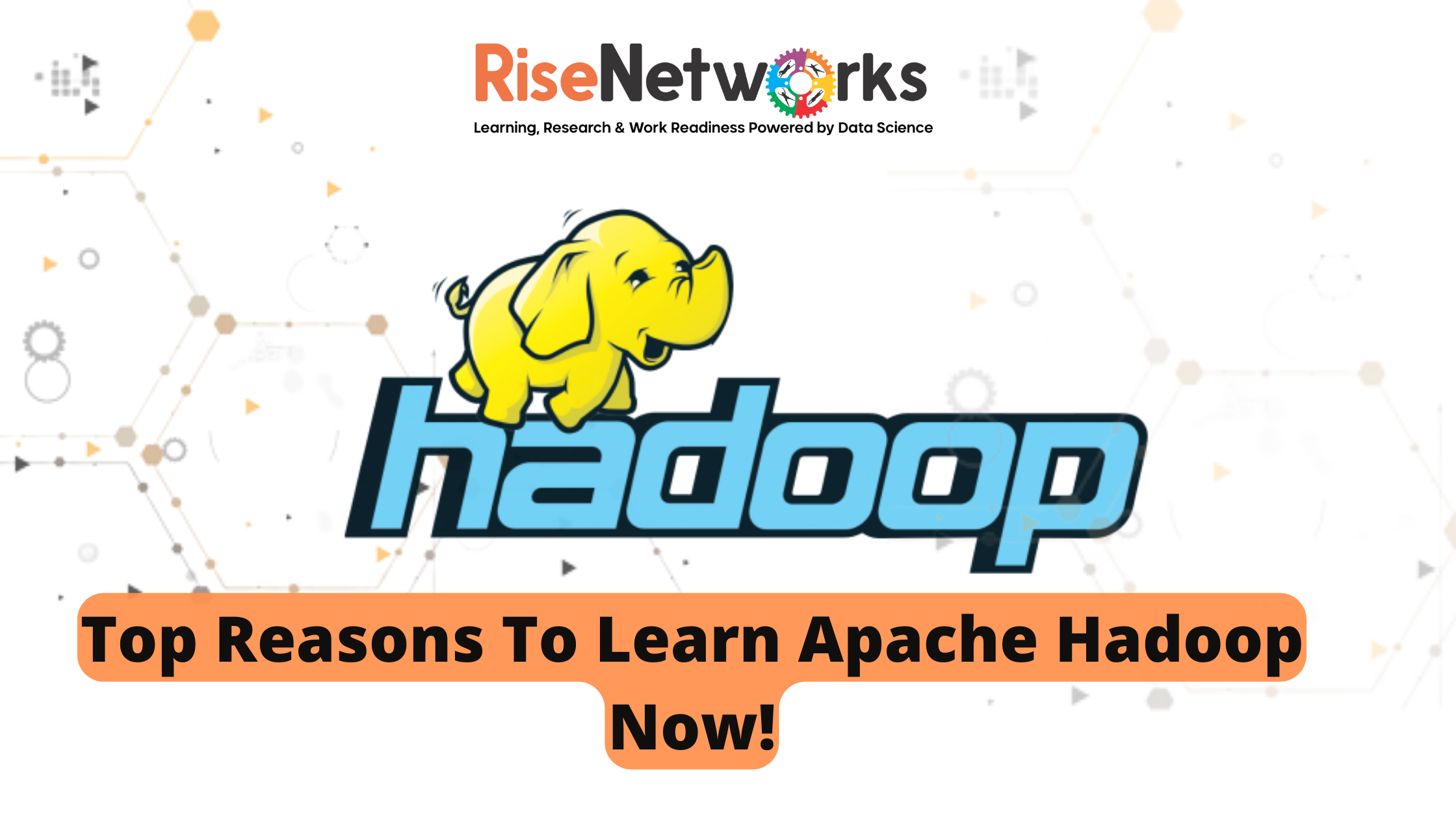 Top Reasons To Learn Apache Hadoop Now! - Rise Networks