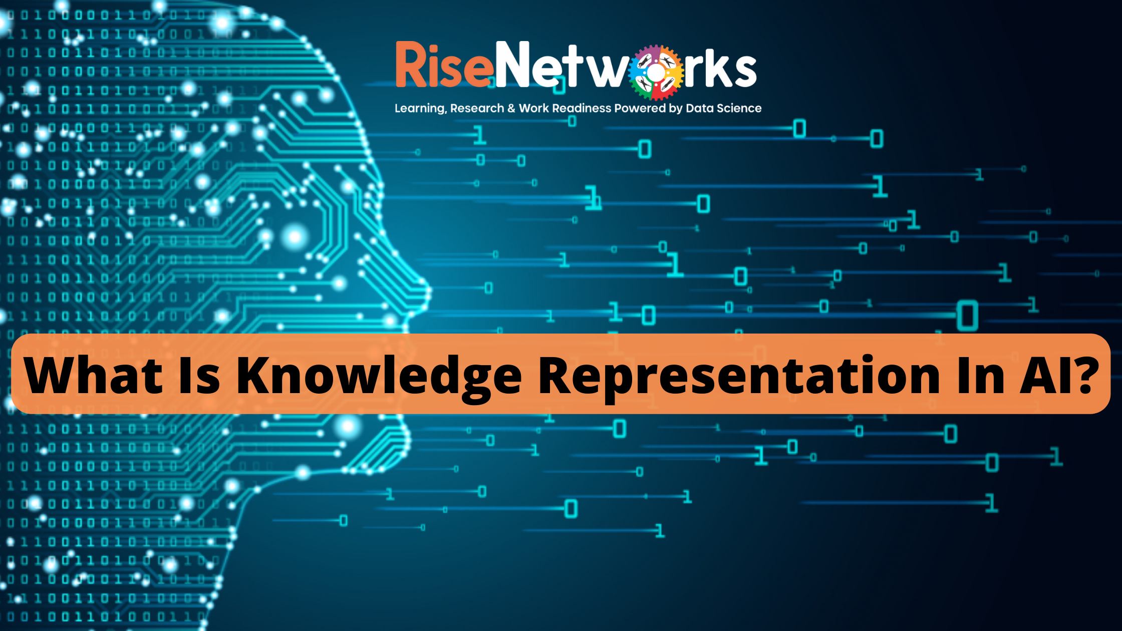 What is knowledge representation in ai rise networks